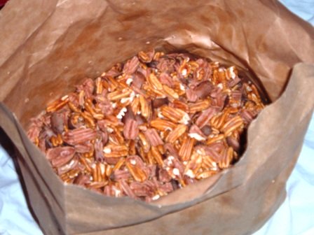 Cracked pecans